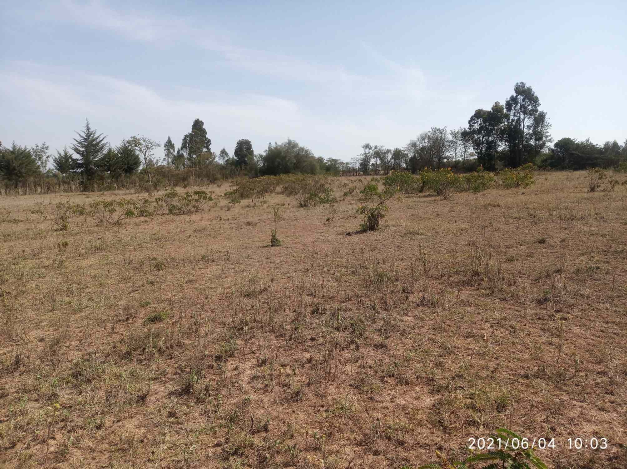 Land for sale in Nanyuki