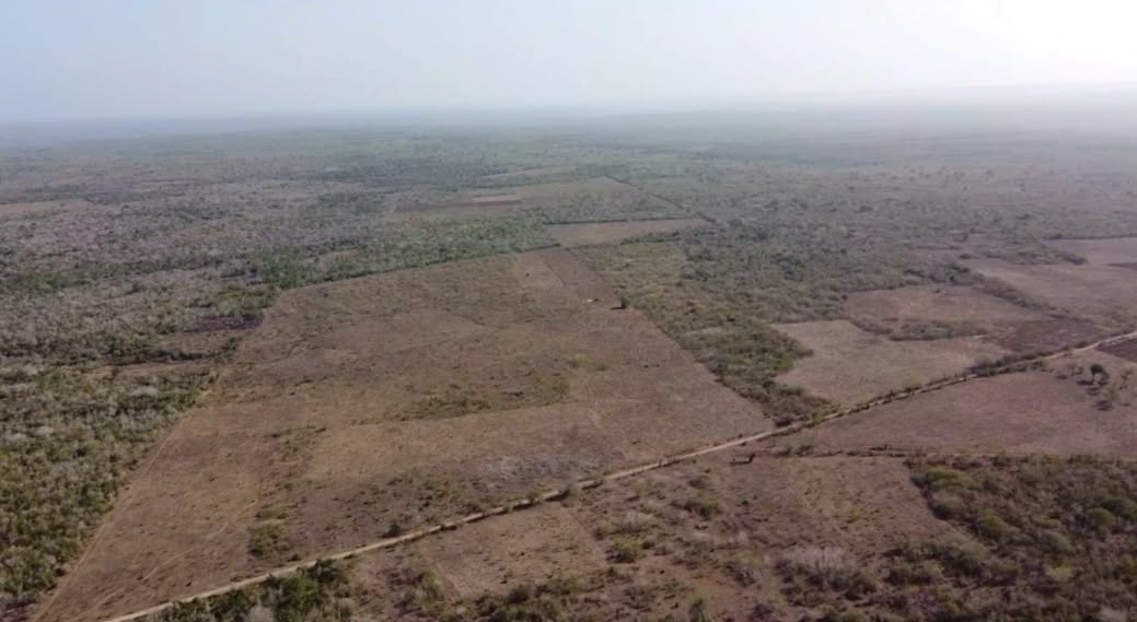 500 plus acre land for sala in adu, kilifi