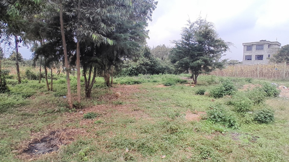 50*100 PLOTS FOR SALE IN GIKAMBURA