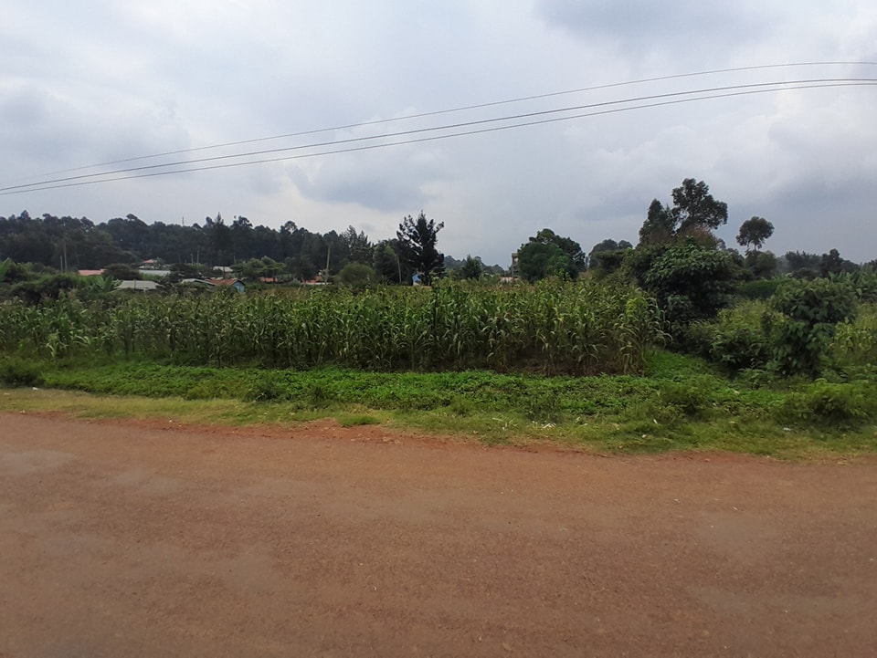 50*100 PLOTS FOR SALE IN GIKAMBURA