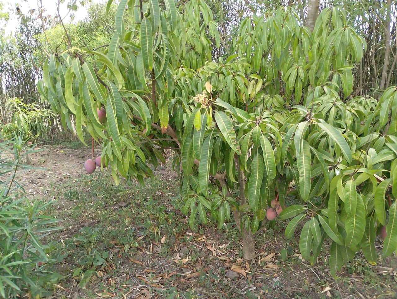50BY100 PLOT ON SALE ALONG KANGUNDO ROAD AT JOSKA KWARE
