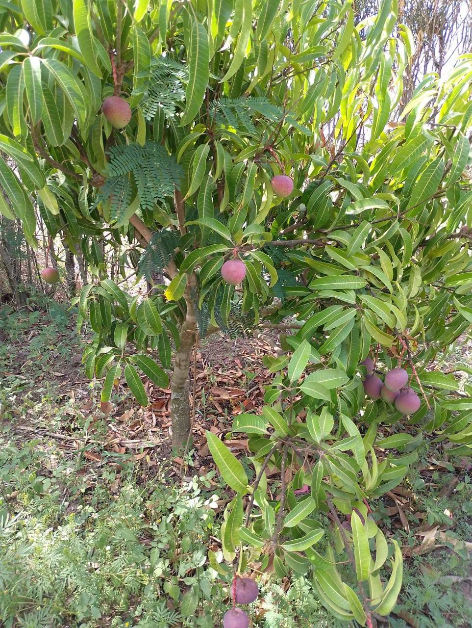 50BY100 PLOT ON SALE ALONG KANGUNDO ROAD AT JOSKA KWARE Image