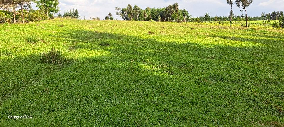 50x100 plot for lease in Kikuyu Gikambura touching Thogoto-Mutarakwa road Image