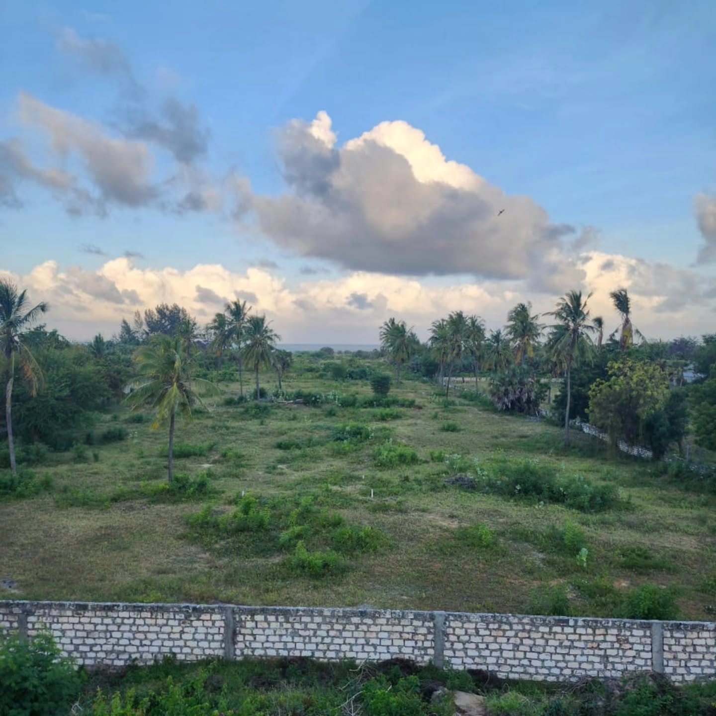 5.4 acre land for sale on Ocean Beach Hotel from the MalindiโLamu Highway. Image