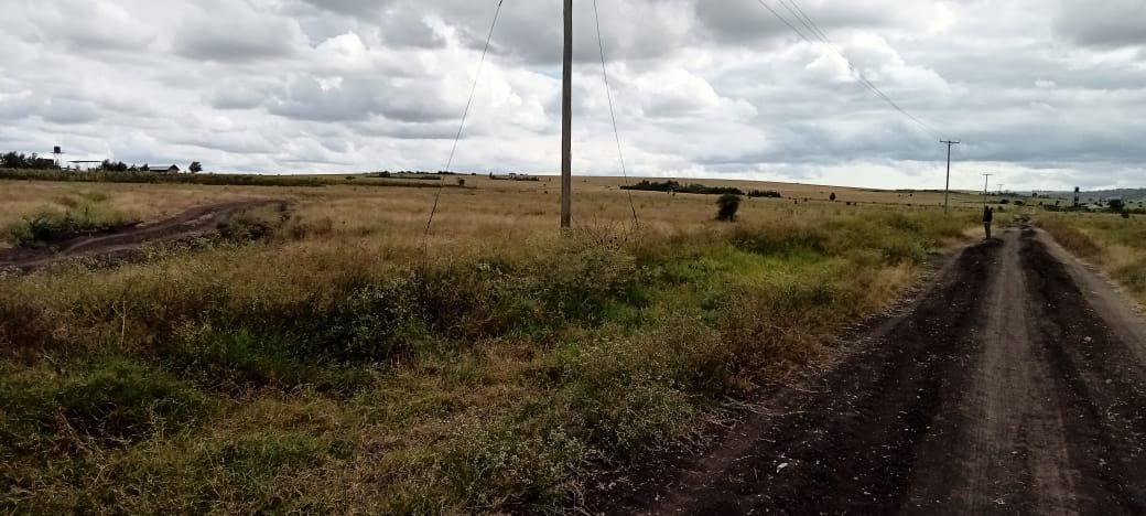 54 ACRES FARM LAND FOR SALE IN ISINYA, KAJIADO COUNTY