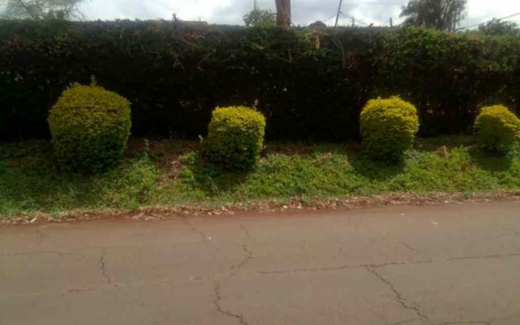 Half acre land for sale in Gigiri