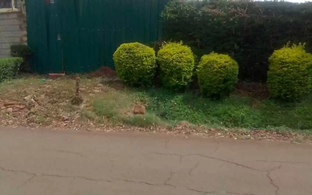 Half acre land for sale in Gigiri Image