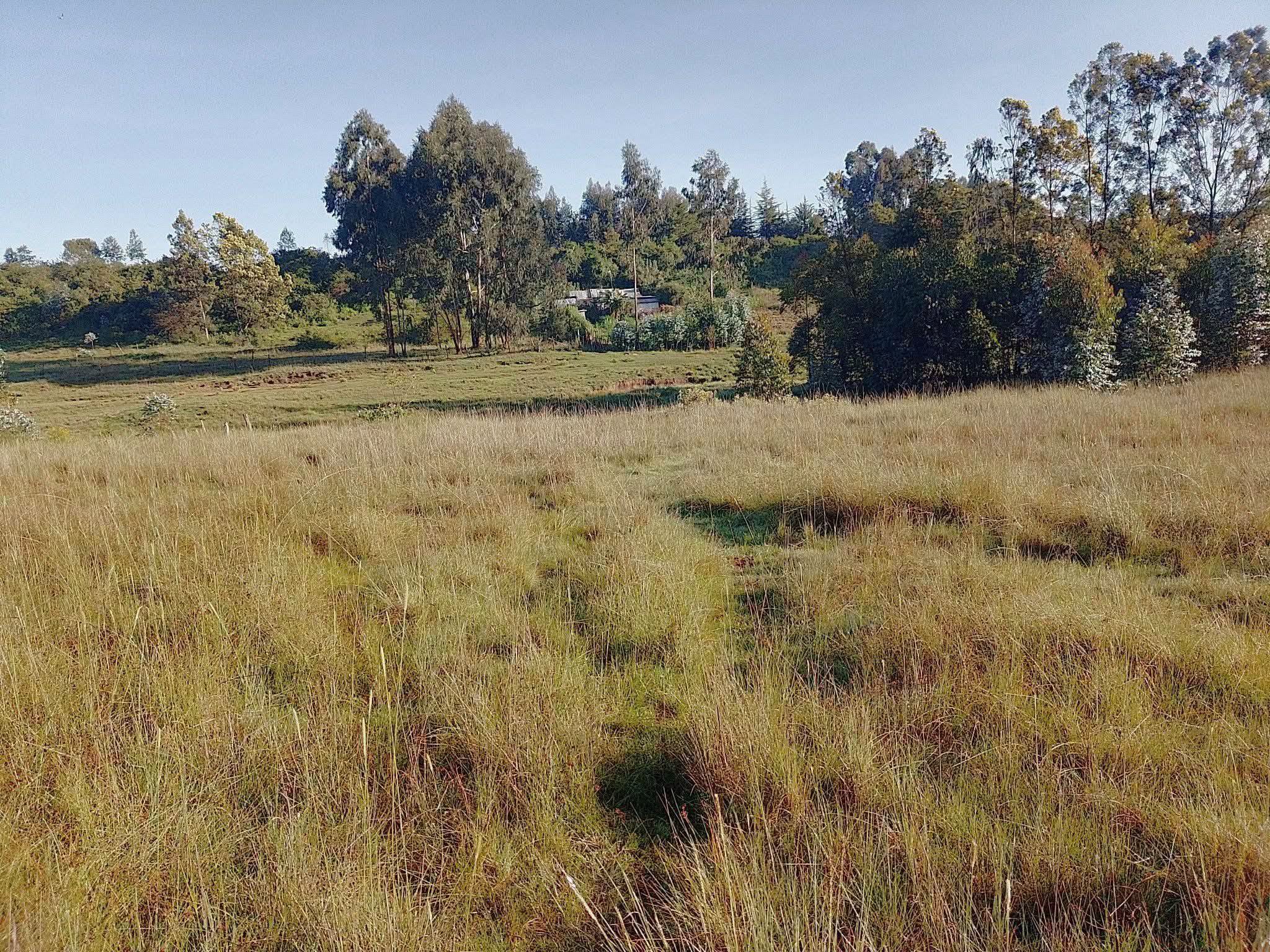 6 acre land for sale in Ndemi, Olkalou