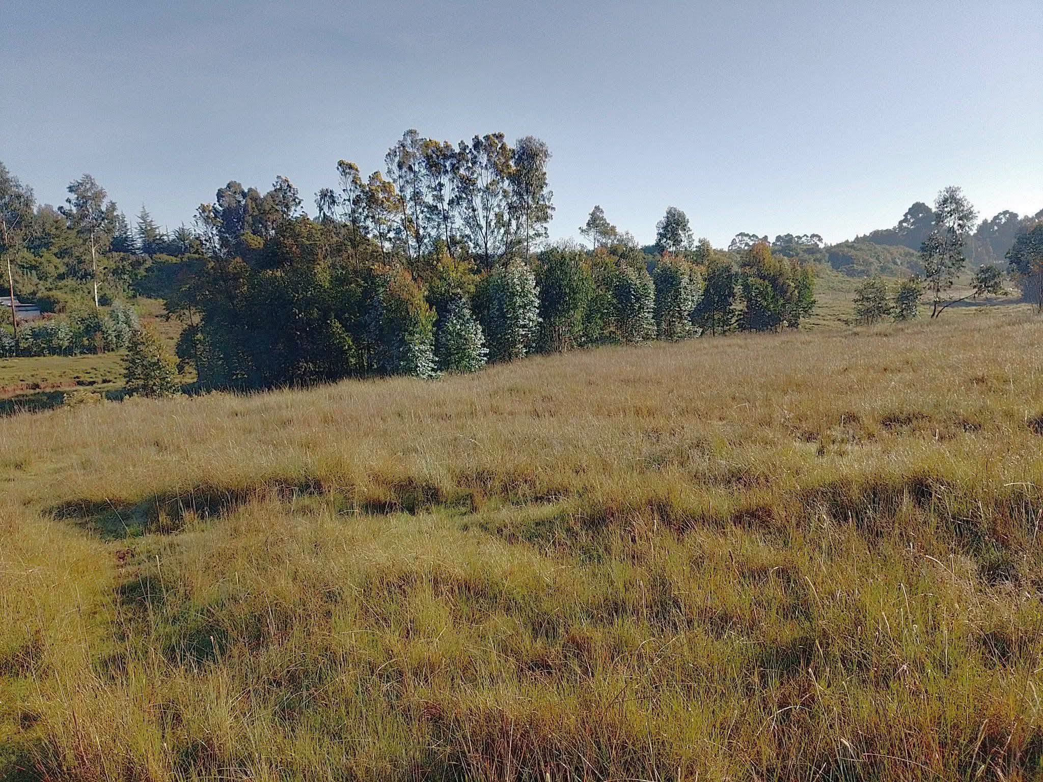 6 acre land for sale in Ndemi, Olkalou Image