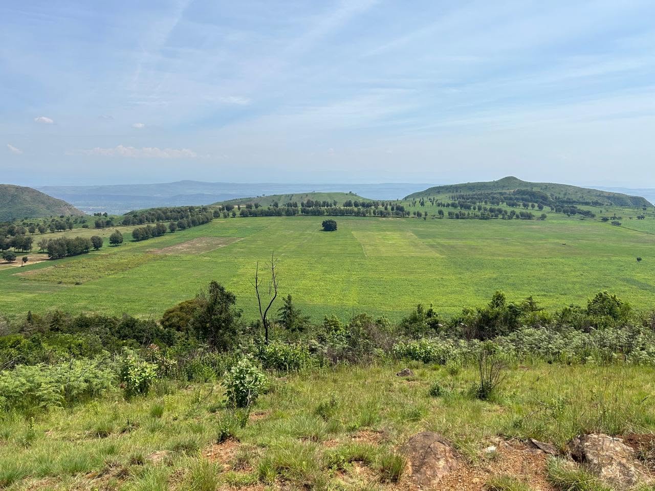 6 acre land with charming colonial houses for sale in subukia Image