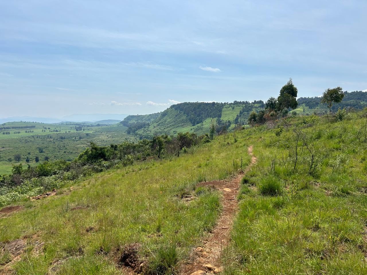 6 acre land with charming colonial houses for sale in subukia