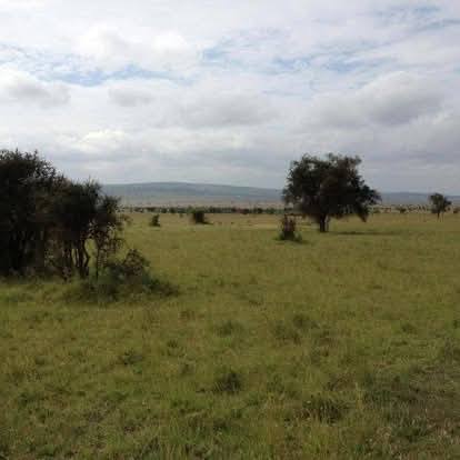 6 acres land for sale at Maanzoni ranch, Machakos County.