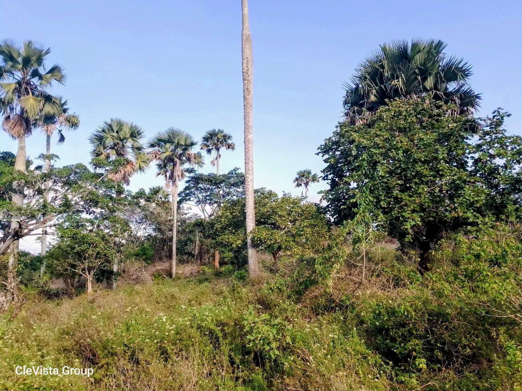 6 acres land for sale in mivumoni, shimba hills kwale
