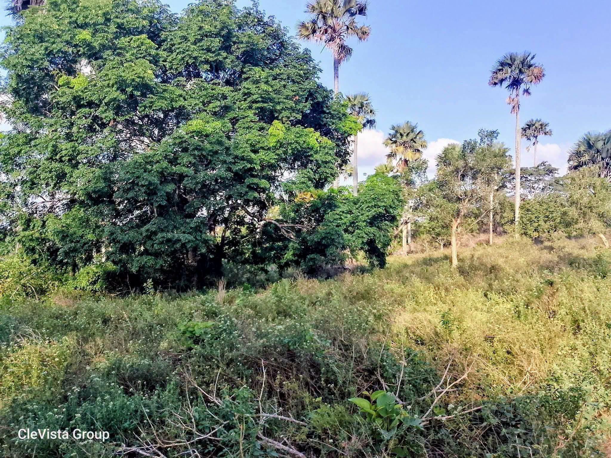 6 acres land for sale in mivumoni, shimba hills kwale Image