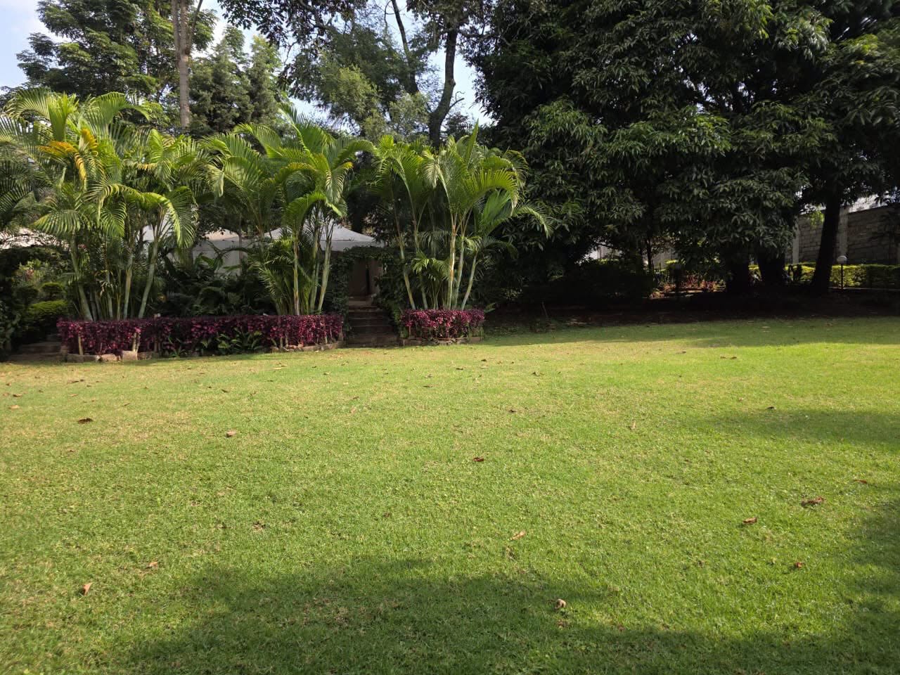 6 bedroom maisonette for rent in lavington Image