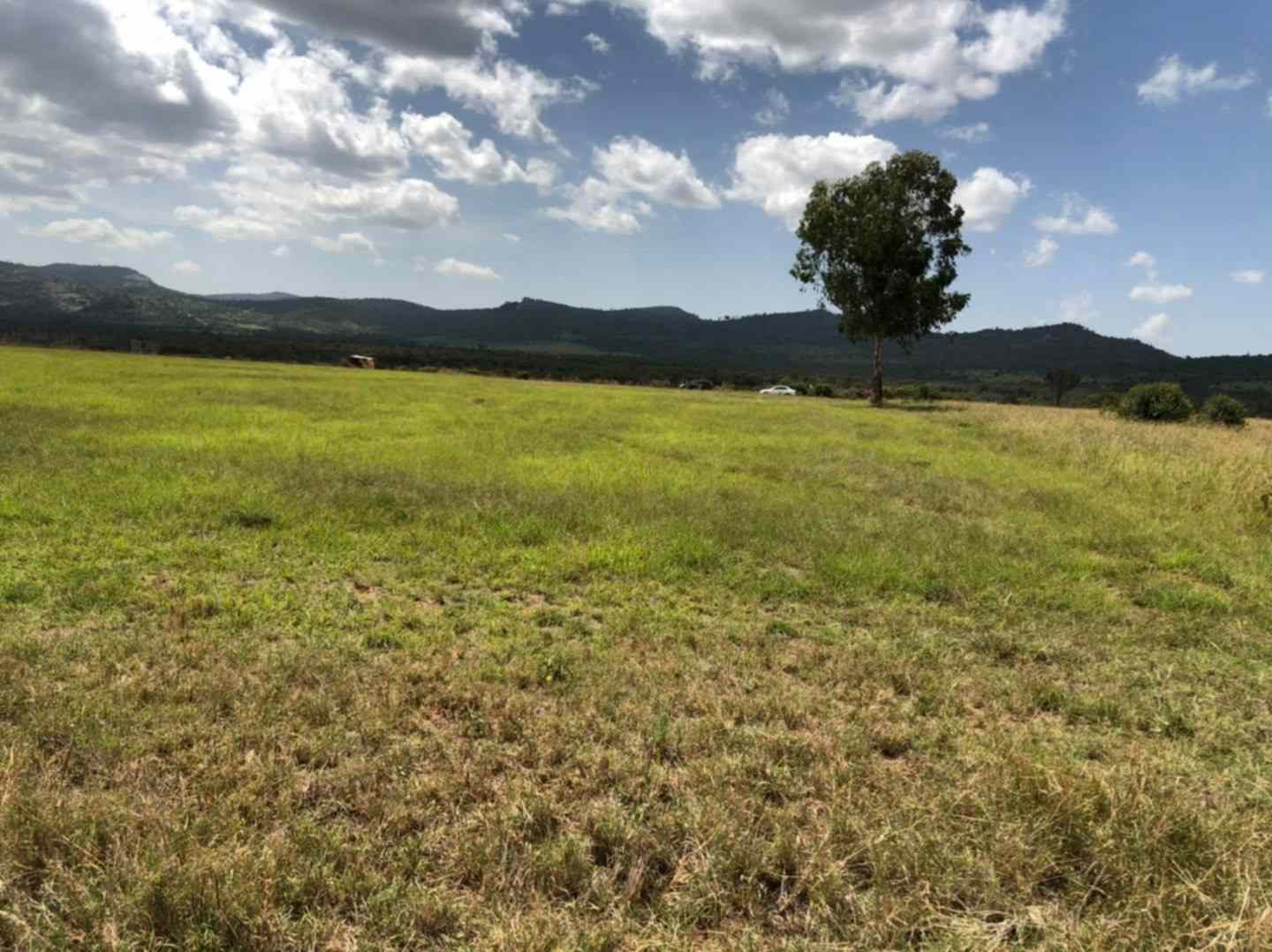 Prime plot for sale in Nanyuki