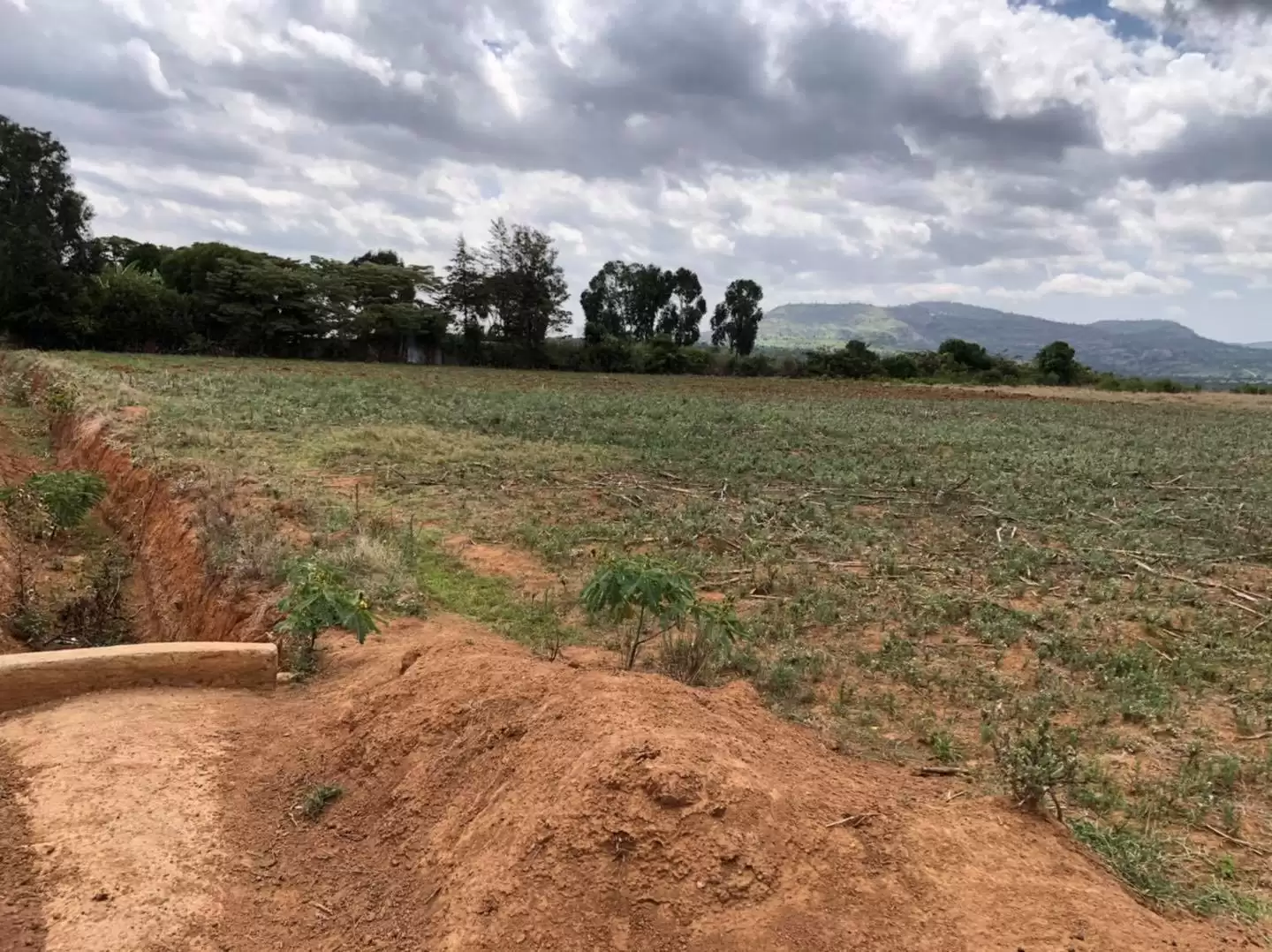 Prime plot for sale in Nanyuki Image