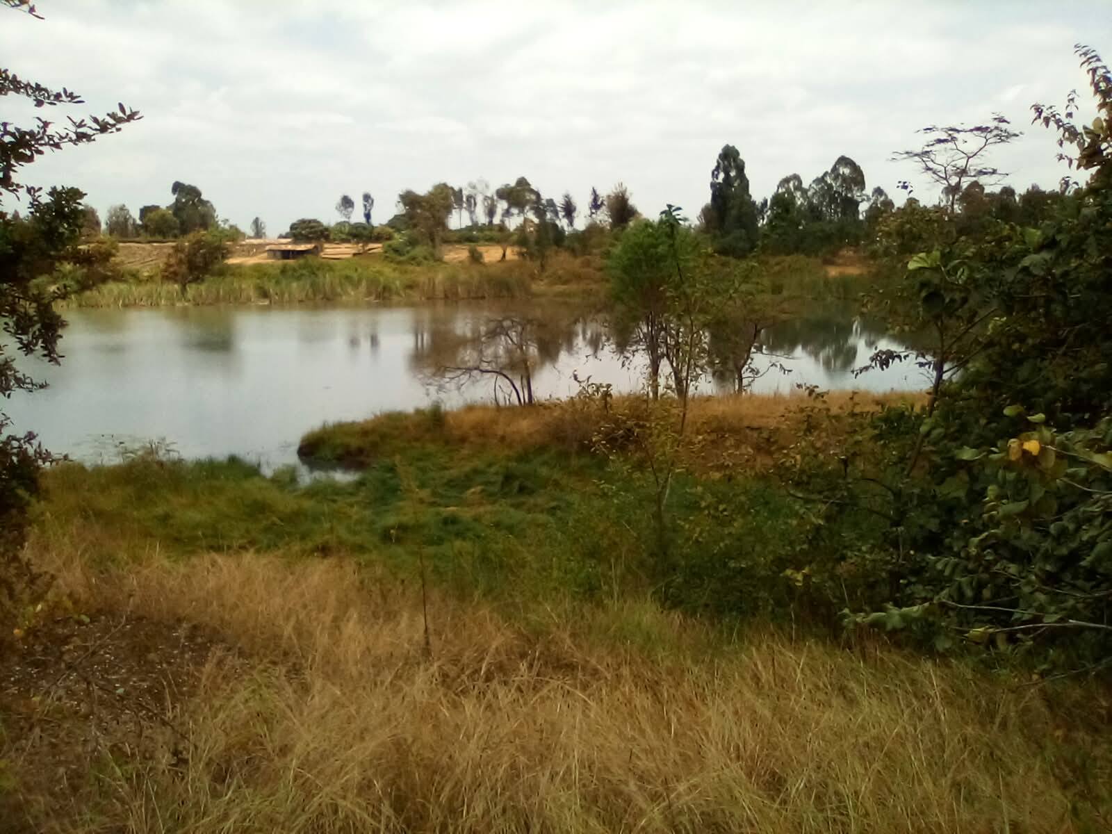 610 Acres of land for sale in Kirimiri, Makuyu