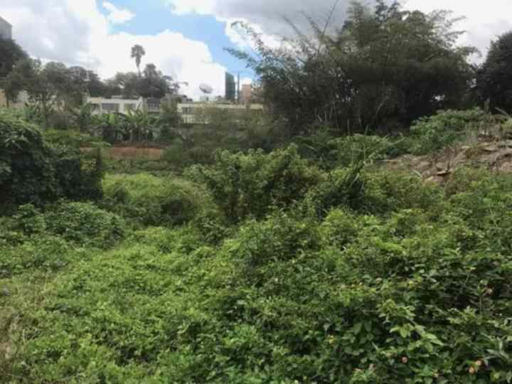 Land for sale in riverside drive Westlands