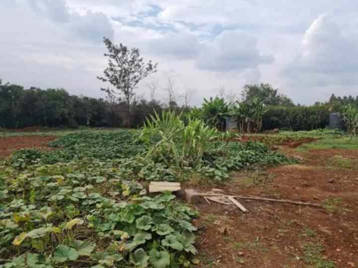 Land for sale in Riverview estate