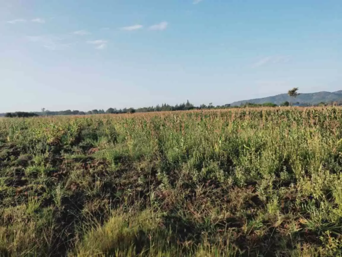 Land for sale in Kirinyaga County, Mwea Sub County Image