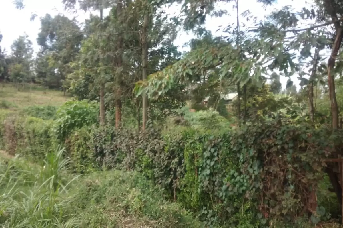 Block of flats for sale in Kiambu Kirigiti Image