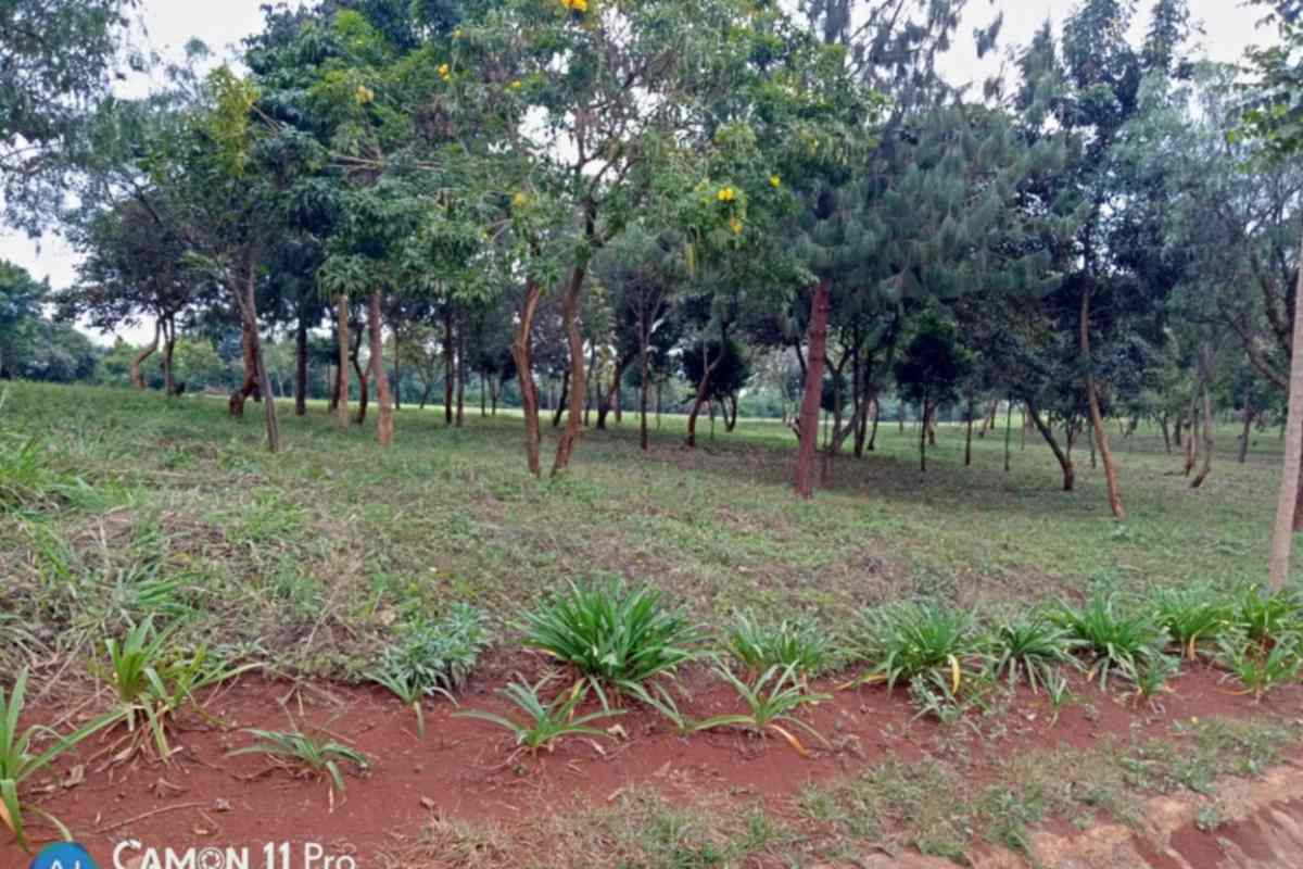 Land for sale in Wangige