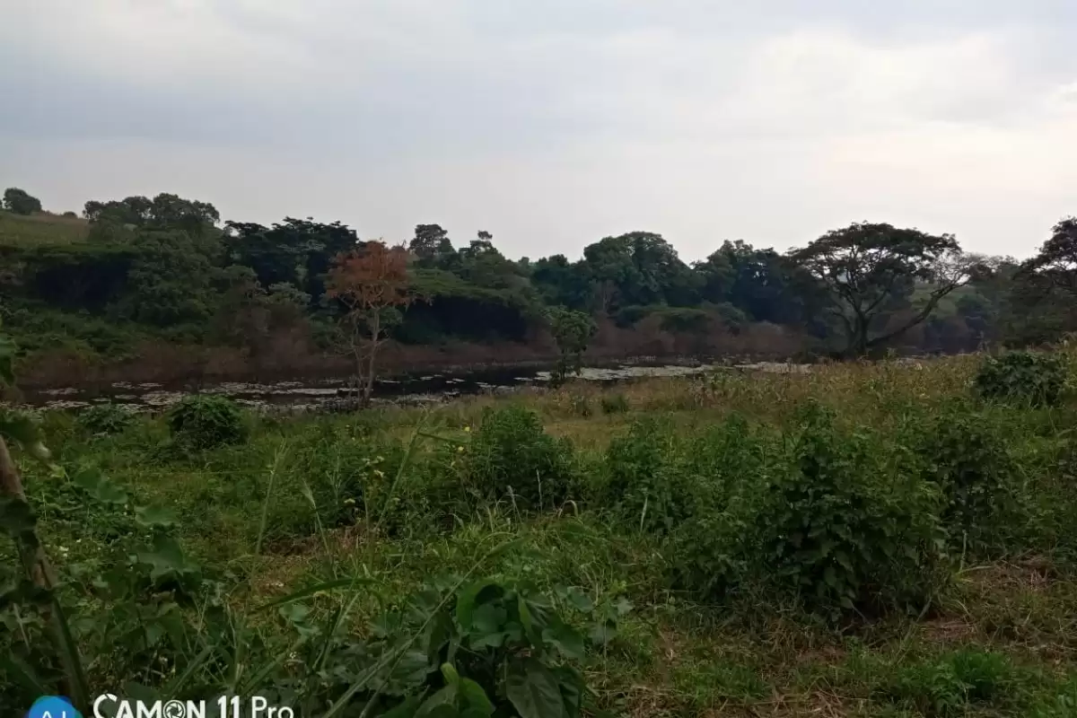 Land for sale in Wangige Image