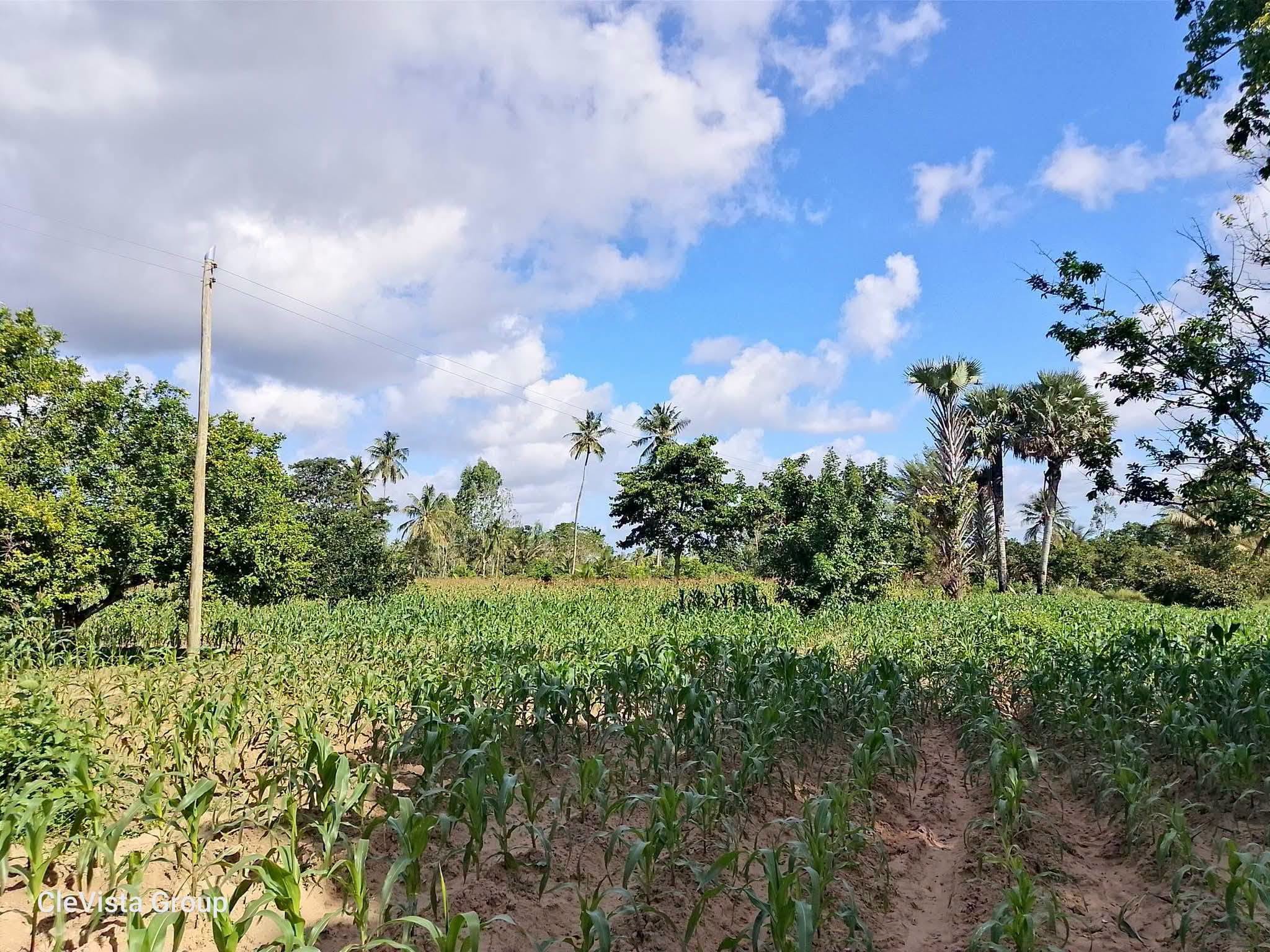 7 acre land for sale in magodi, kwale Image