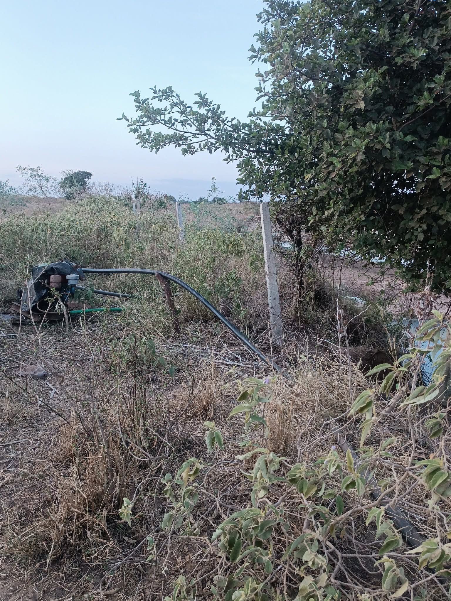 7 acre land for sale in mashuuru town