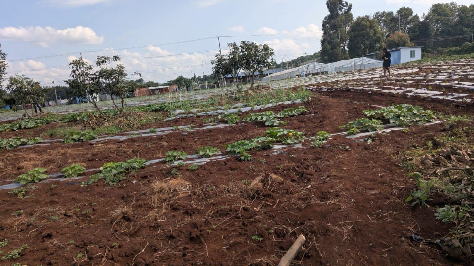 7 acres for sale fronting limuru road near safaricom data center