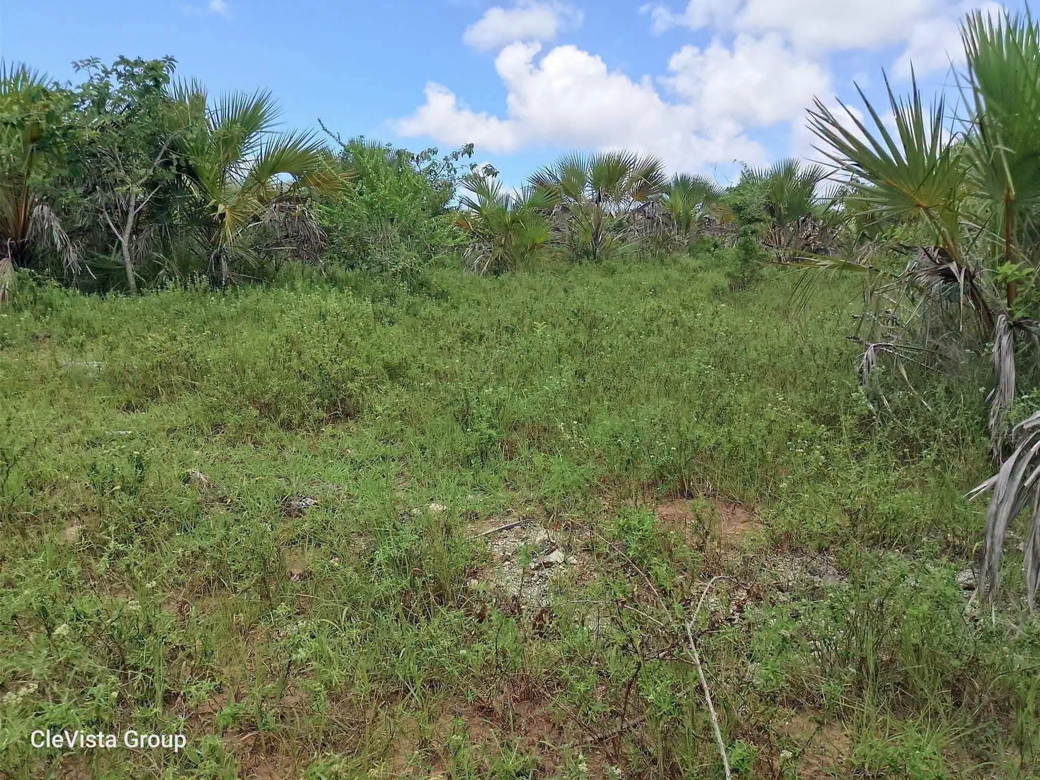 7 acres land for sale in Mobokoni Image