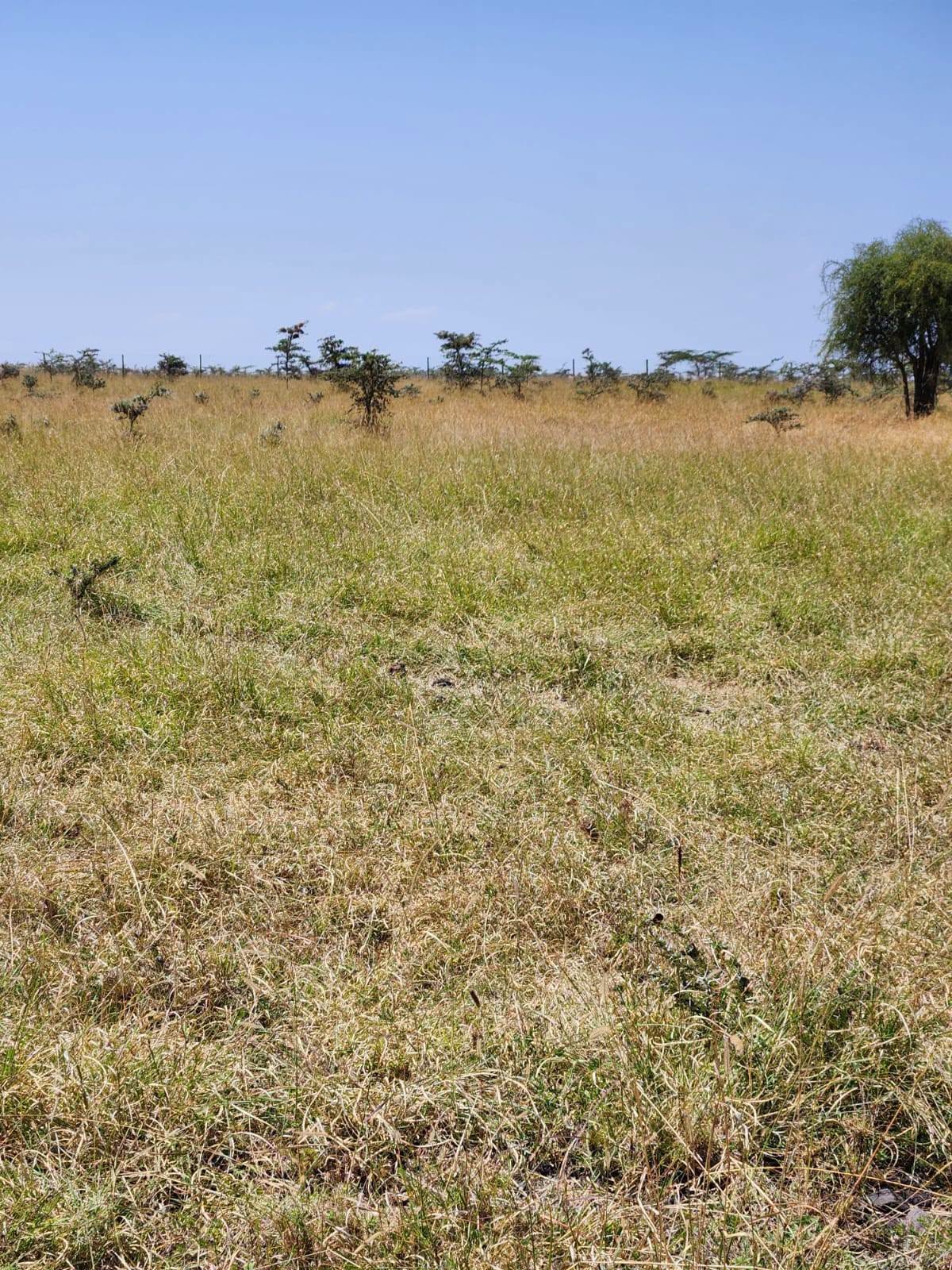 7 ACRES OF PRIME LAND FOR SALE β KISERIAN Image