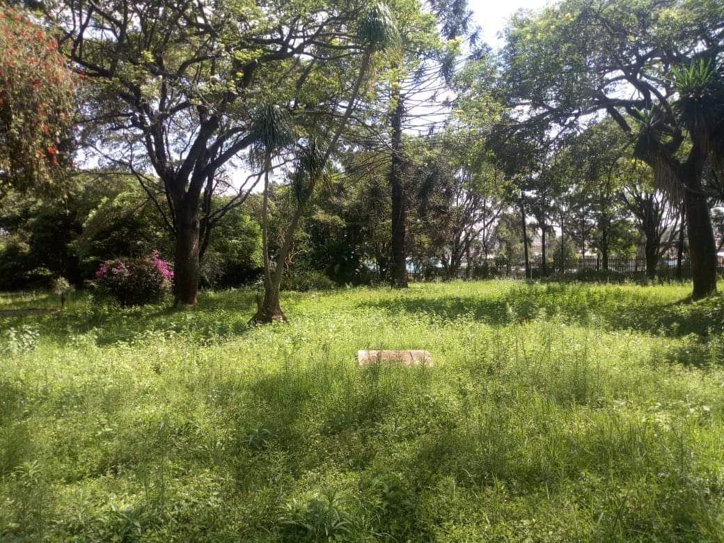 7 bedroom maisonette plus 5 acres of land sale in Kilimani,off ngong road