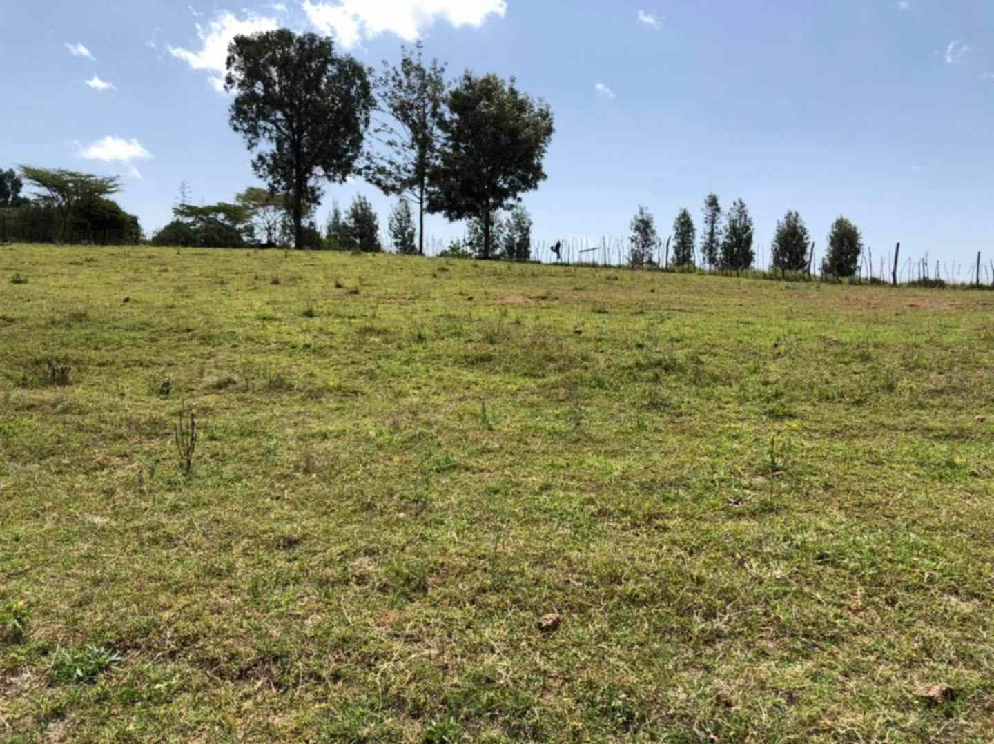 Prime plot for sale in Nanyuki