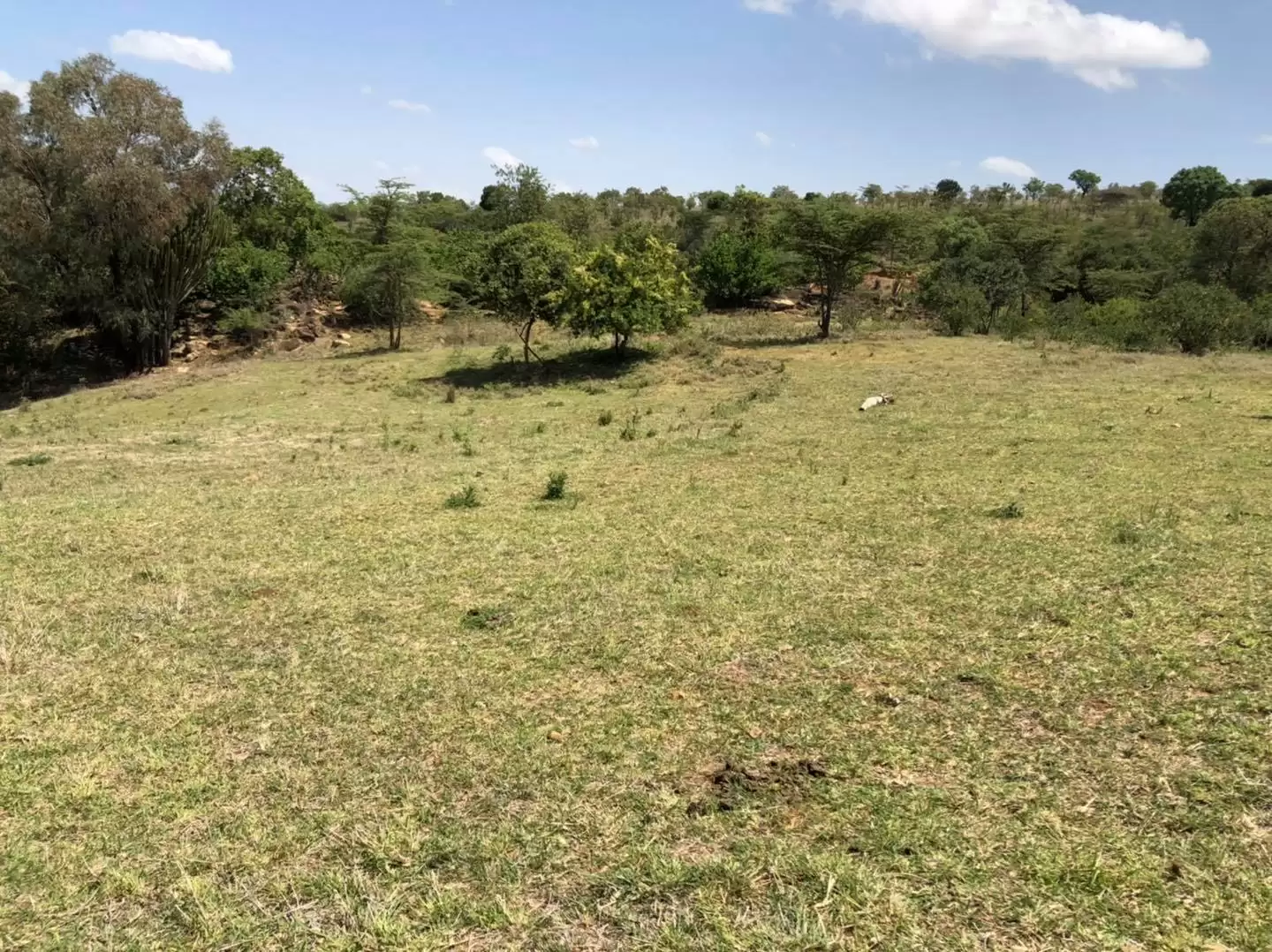 Prime plot for sale in Nanyuki Image