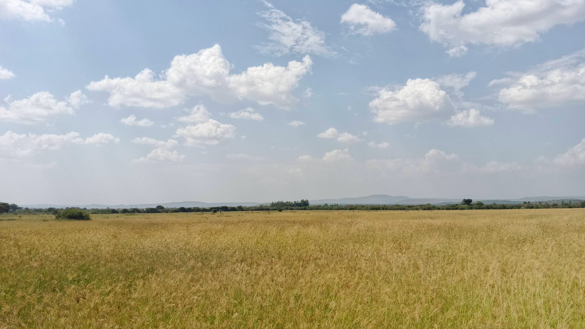 70 acres agricultural land for sale in nakuru, kampi ya moto