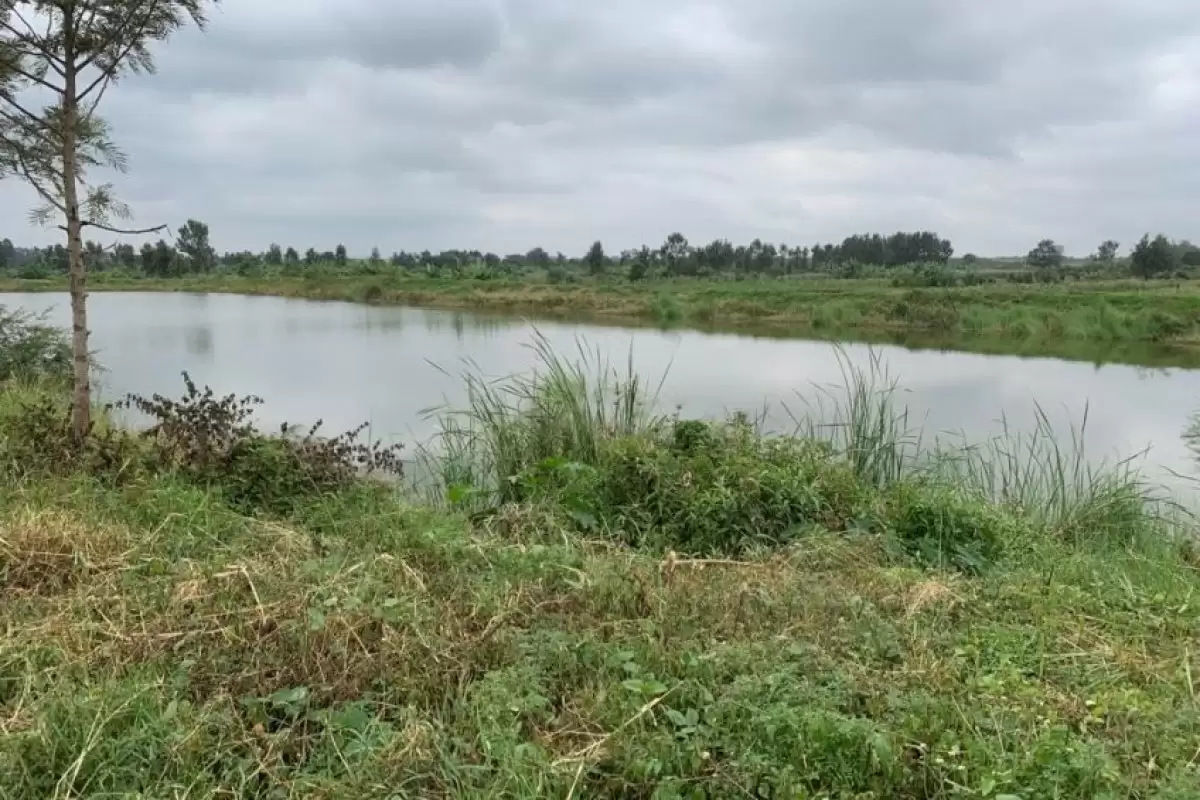 675 acres for sale in Thika and Muranga Image