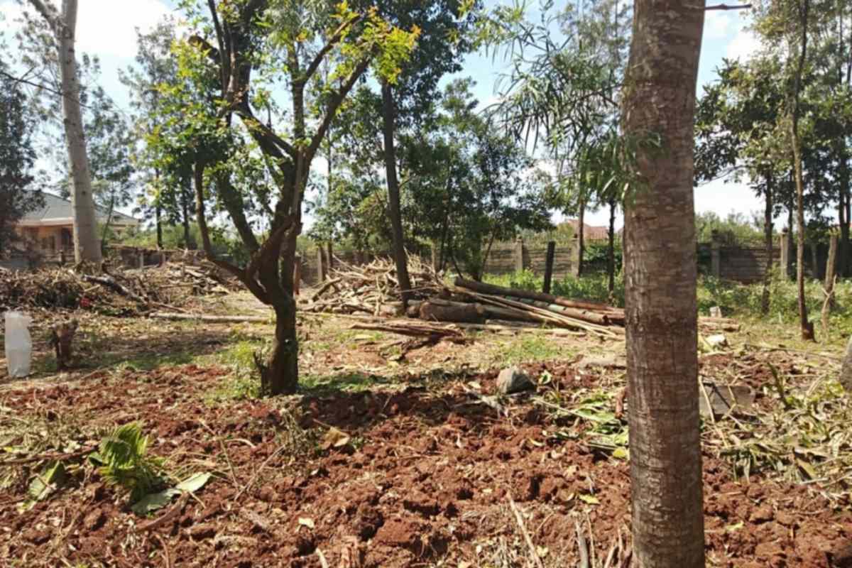 Half an acre land for sale in Karen