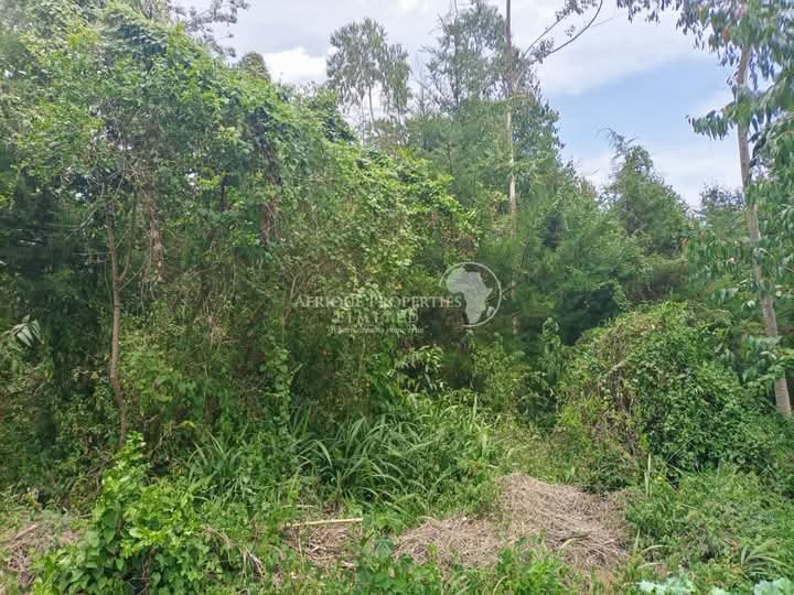 7.5 Acre Plot For Sale in Lower Burguret, Nanyuki Image