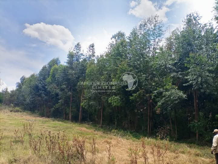 7.5 Acre Plot For Sale in Lower Burguret, Nanyuki