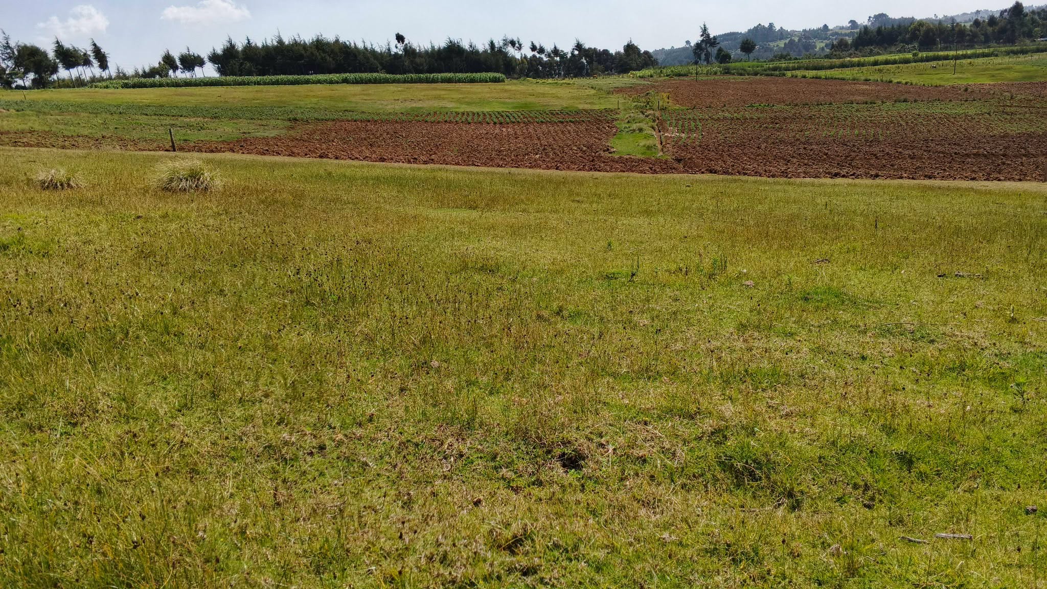 7.5 agricultural land for sale in gwa kiongo, nyandarua Image