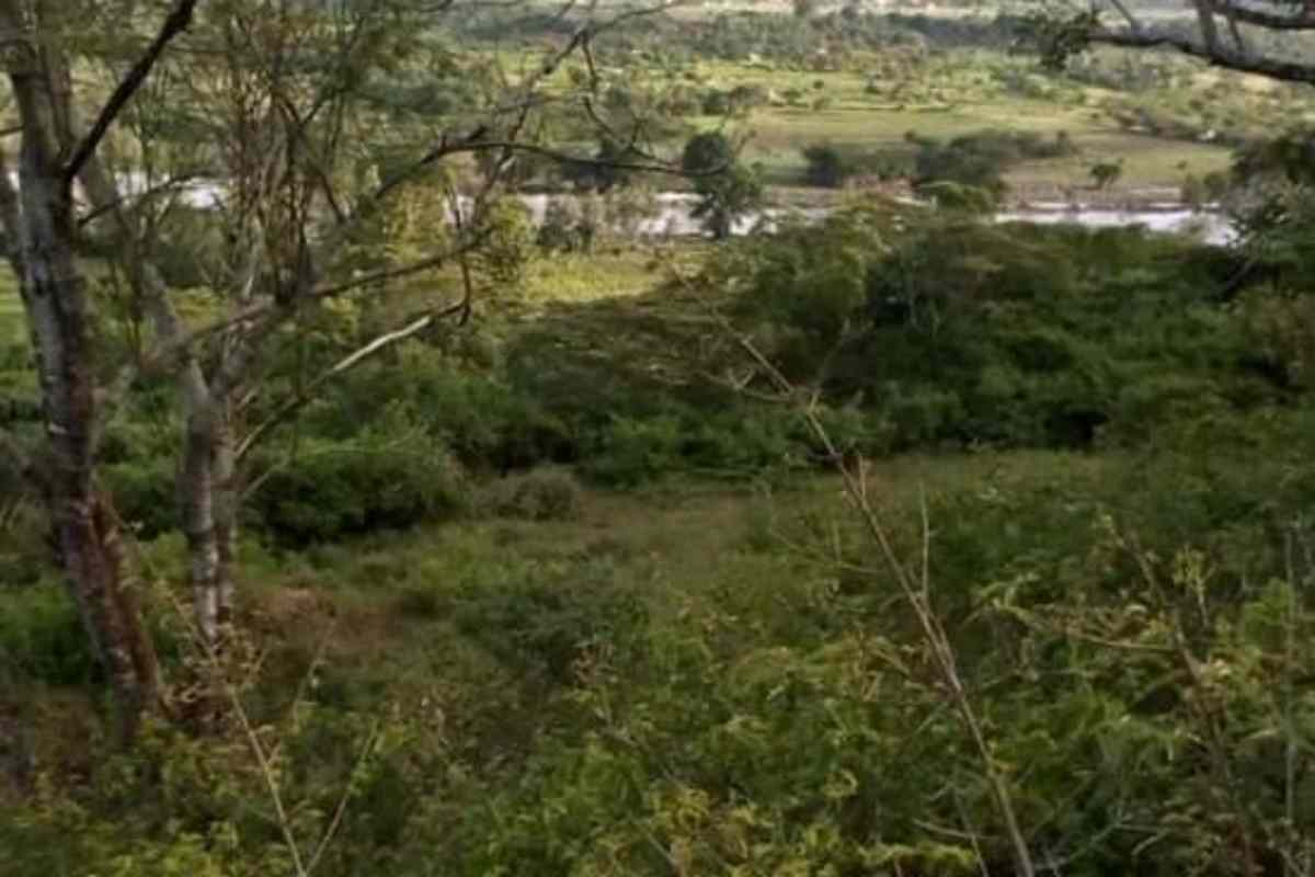 7 acre land for sale at Thika Gatuanyaga