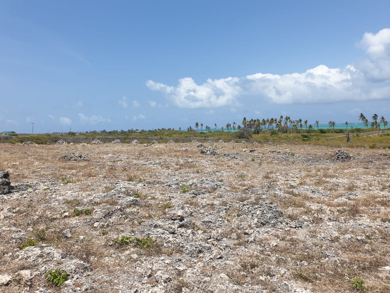 8 acres beach plot for sale in jaracanda, watamu Image