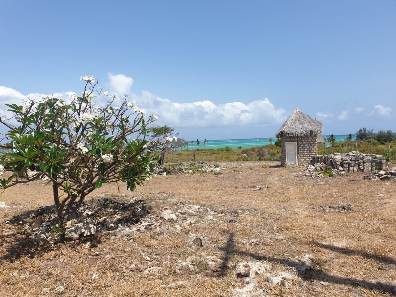 8 acres beach plot for sale in jaracanda, watamu