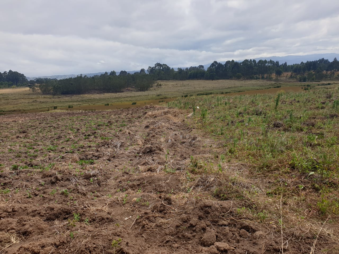 8 Acres for Sale in Ol Kalou, Rurii (Dam Frontage)