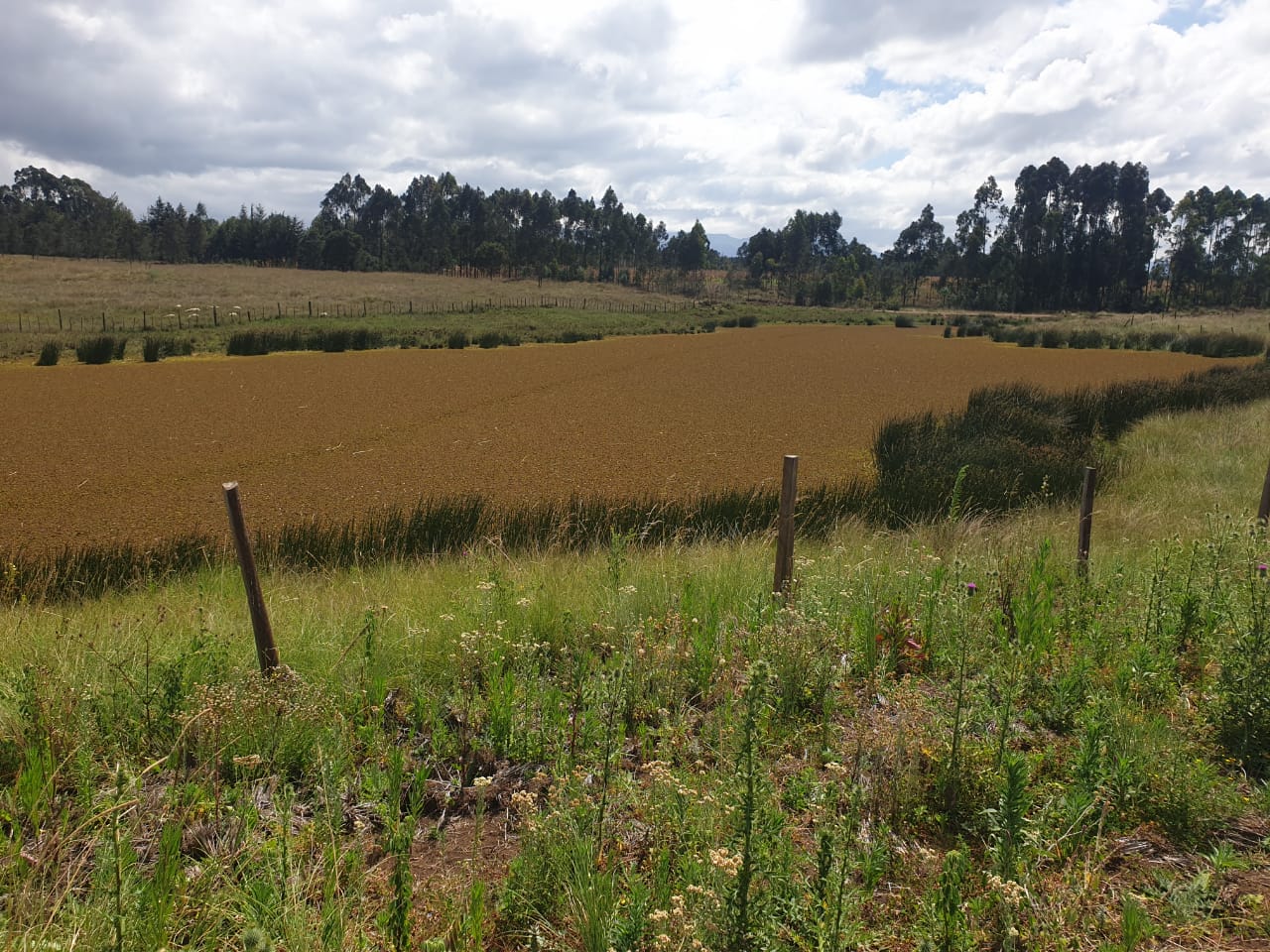 8 Acres for Sale in Ol Kalou, Rurii (Dam Frontage) Image