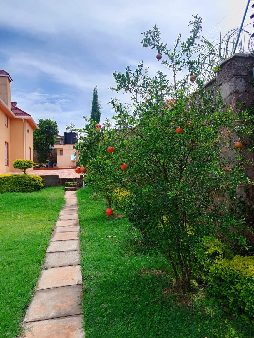 8 Bedroom maisonette fully furnished to let in Runda Image