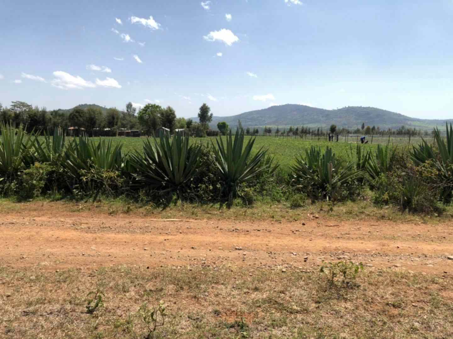 Prime plot for sale in Nanyuki