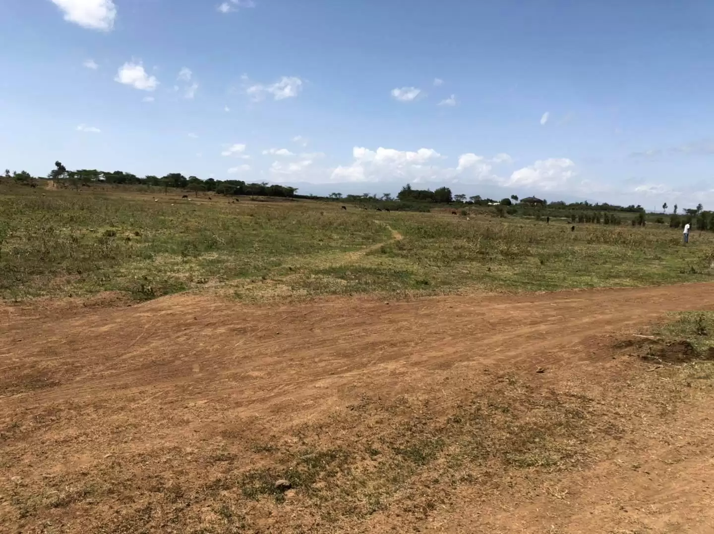 Prime plot for sale in Nanyuki Image